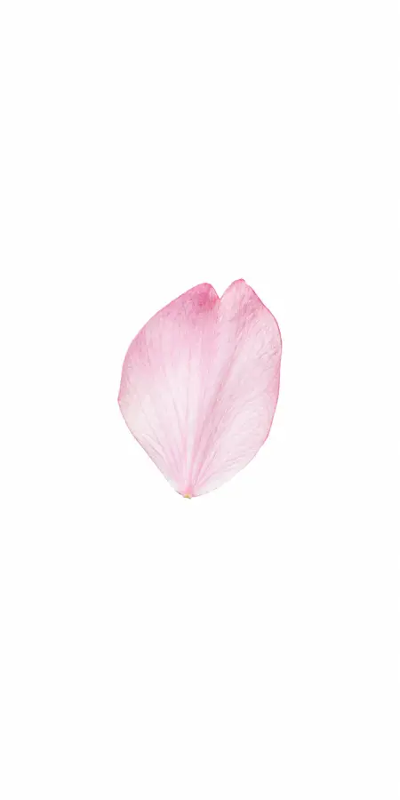 A Whisper of Early Spring 4K wallpaper for desktop and mobile - Pixbee