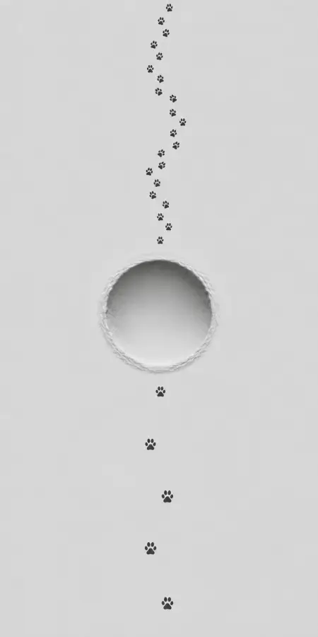 Black Animal Paw Prints Passing Through Wall Hole 4K wallpaper for desktop and mobile - Pixbee