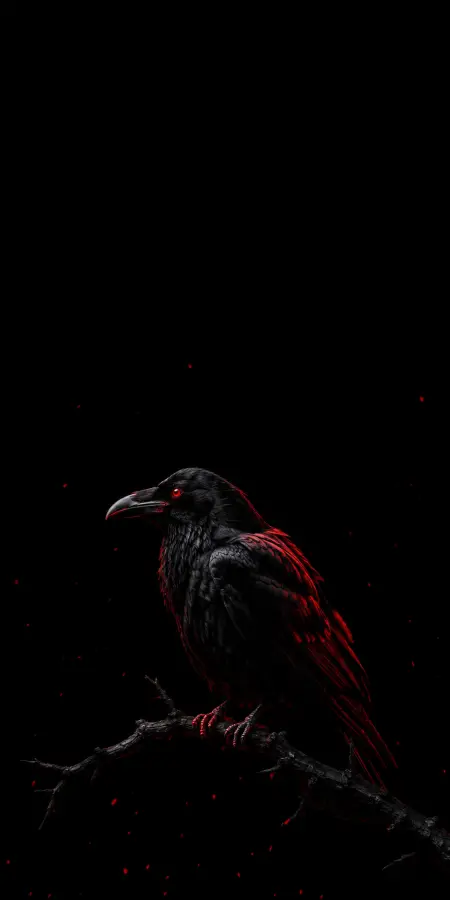 Black Crow Perched On Dark Branch — iphone wallpapers phone wallpaper