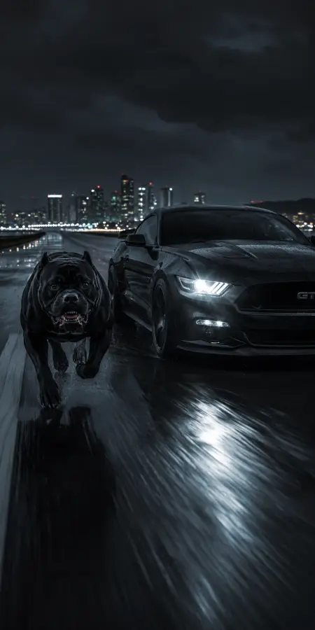 Black Pitbull Running Beside Ford Mustang — cars phone wallpaper
