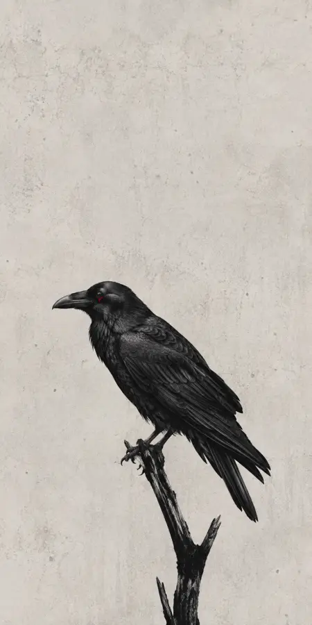 Black Raven Perched On Wooden Branch — iphone wallpapers phone wallpaper