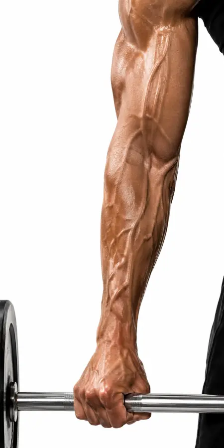 Close Up Of Vascular Muscular Arm Lifting Barbell 4K wallpaper for desktop and mobile - Pixbee