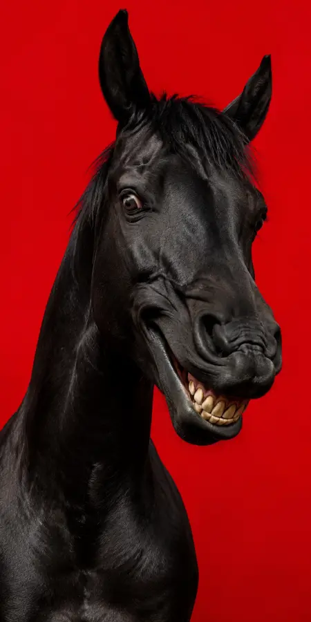 Crazy Horse — Smile Powered by Chaos. 4K wallpaper for desktop and mobile - Pixbee