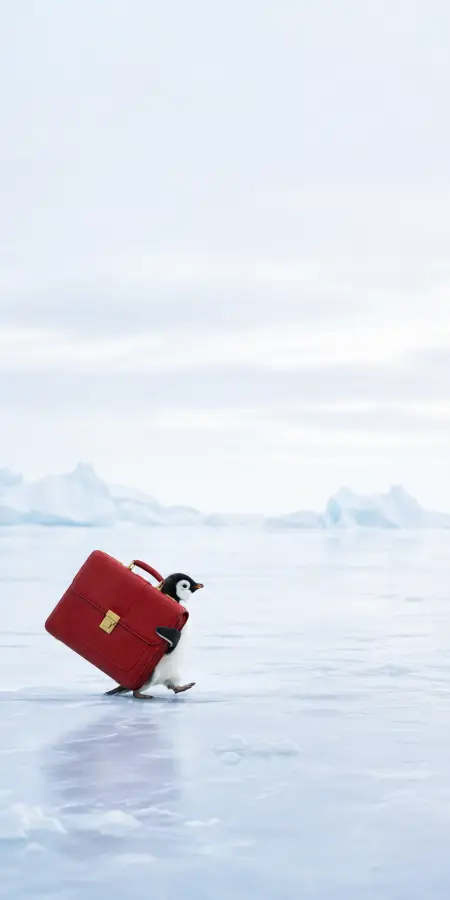 Cute Baby Penguin Walking With Red Briefcase 4K wallpaper for desktop and mobile - Pixbee