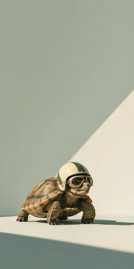 Cute Land Tortoise Wearing Vintage Racing Helmet 4K wallpaper for desktop and mobile - Pixbee