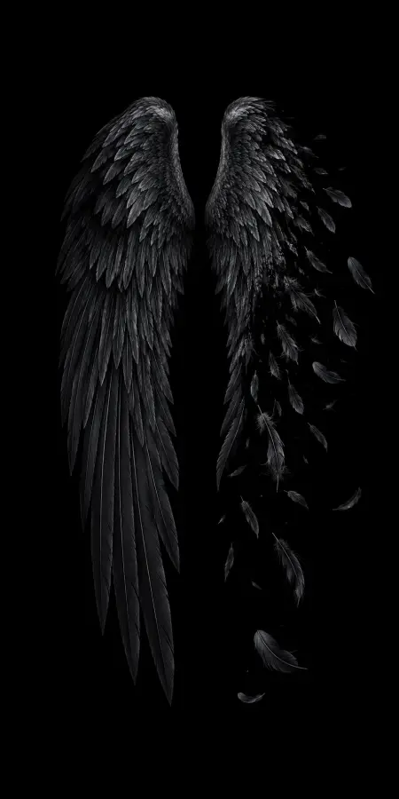 Dark Fallen Angel Wings Feather Dissolve — iphone wallpapers phone wallpaper