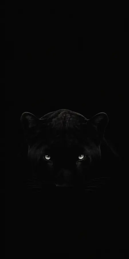 Dark Panther Eyes Glowing In Darkness — iphone wallpapers phone wallpaper