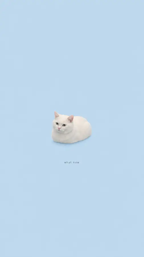 “Me after finishing one task and realizing I still exist.” 🤍 4K wallpaper for desktop and mobile - Pixbee