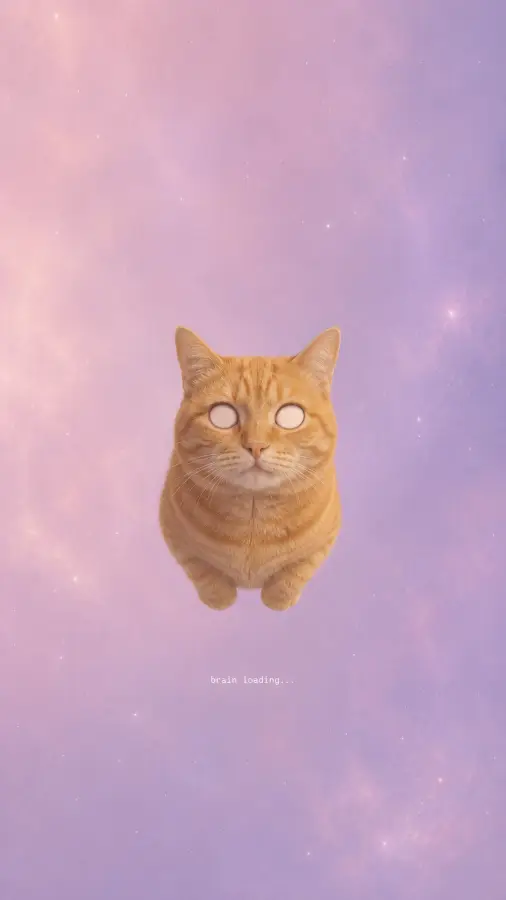 “No thoughts. Just cosmic cat energy loading… 🐈✨” 4K wallpaper for desktop and mobile - Pixbee