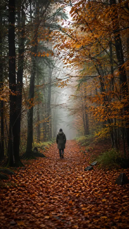 “Sometimes the quietest paths lead to the loudest thoughts.” 4K wallpaper for desktop and mobile - Pixbee
