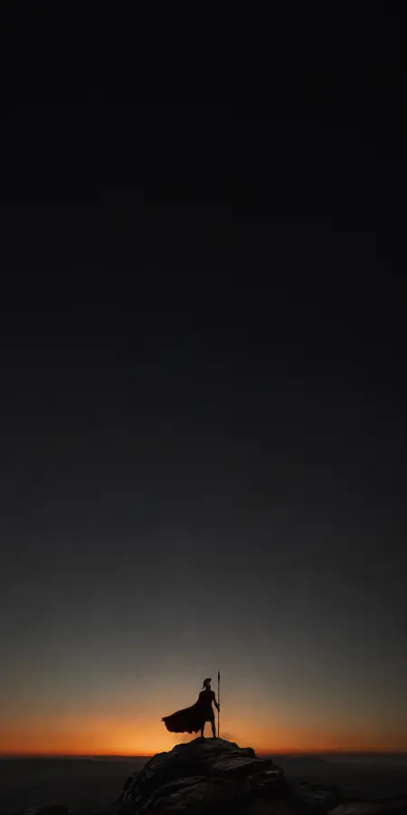 Spartan Warrior Silhouette On Mountain Peak Sunset — iphone wallpapers phone wallpaper