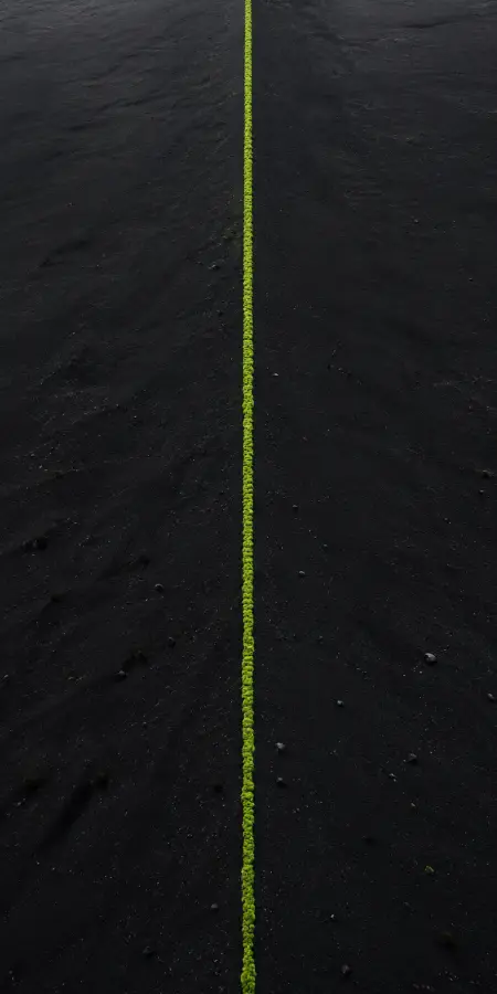 The Path Less Traveled 4K wallpaper for desktop and mobile - Pixbee