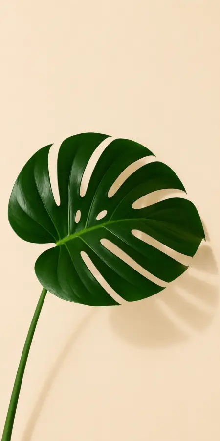 Tropical Elegance In Minimalism 4K wallpaper for desktop and mobile - Pixbee