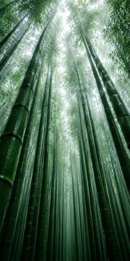 Whispers Through Emerald Giants 4K wallpaper for desktop and mobile - Pixbee