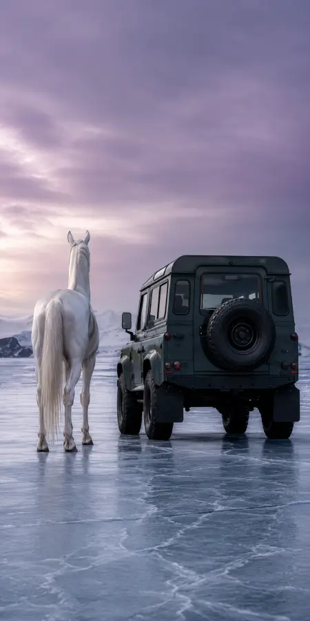 White Horse Beside Land Rover On Ice — cars phone wallpaper
