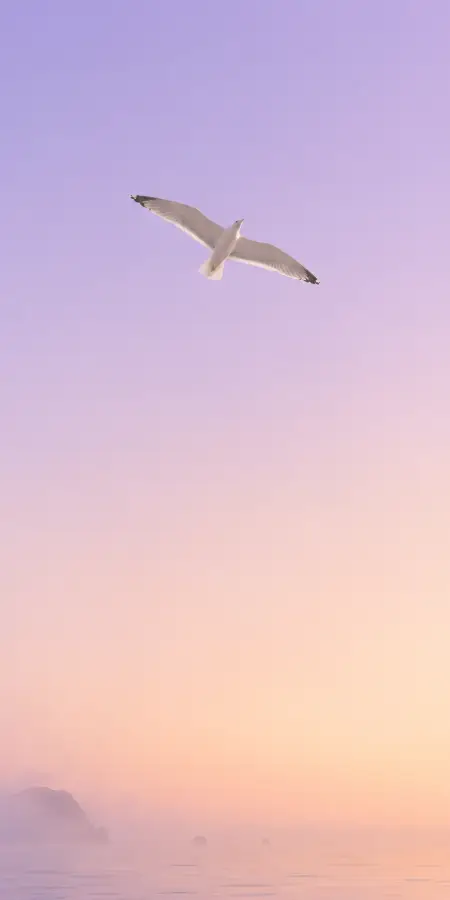 Wings Across A Dreamscape 4K wallpaper for desktop and mobile - Pixbee